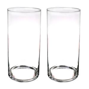 Merkloos Set van 2x stuks cilinder vaas/vazen van glas 60 x 19 cm transparant -