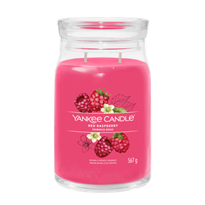 Yankee Candle Signature Grote Kaars Rode Framboos 567 g