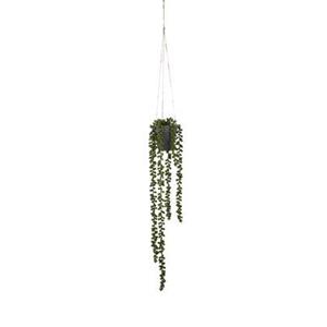 Mica Decorations Senecio Kunst Hangplant - H56 x Ø9 cm - Groen