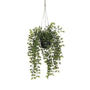 Mica Decorations Ficus Kunst Hangplant in Pot - H46 x Ø20 cm - Groen