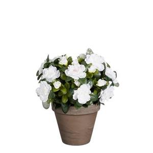 Mica Decorations Azalea Kunstplant - H31 x Ø26 cm - Wit