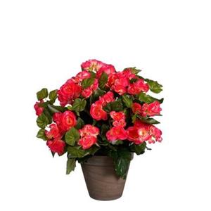 Mica Decorations Begonia Kunstplant - H37 x Ø36 cm - Donkerroze