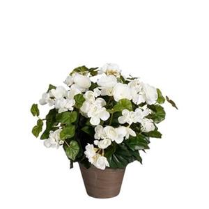 Mica Decorations Begonia Kunstplant - H37 x Ø36 cm - Wit