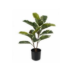 Present time  Artificial Plant Oak Leaf