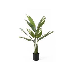 Present time  Artificial Plant Calathea