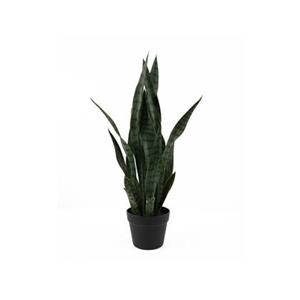 Present time  Artificial Plant Sansevieria