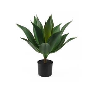 Present time  Artificial Plant Succlulent