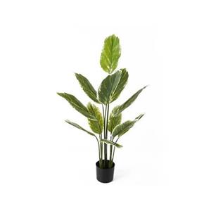 Present time  Artificial Plant Calathea Large