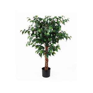 Present time  Artificial Plant Fig Ficus