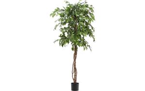 Kave Home Kunstplant Ficus, Kunstplant 180 cm hoog