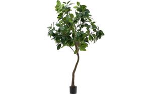 Kave Home Kunstplant Ficus, Kunstplant 210 cm hoog