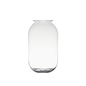 Merkloos Transparante home-basics vaas/vazen van glas 30 x 19 cm -