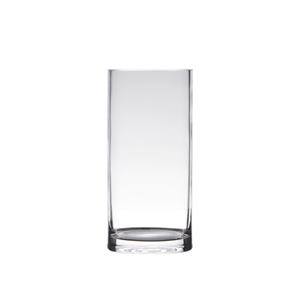 Hakbijl Glass Transparante home-basics cylinder vorm vaas/vazen van glas x 12 cm -