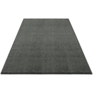 andas Hochflor-Teppich "Ilvi", rechteckig, extra flauschig, besonders weich durch Mikrofaser, einfarbig, weich