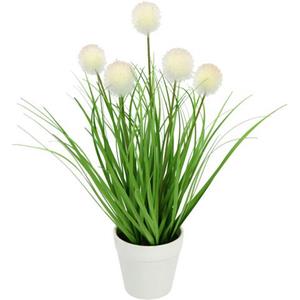 I.GE.A. Kunstplant Knopfgras im Topf