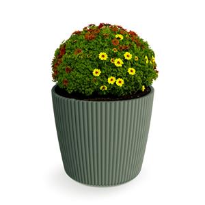 Prosperplast Plantenpot/bloempot Buckingham - kunststof - dennen groen - D17 x H15 cm -