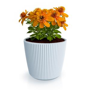 Prosperplast Plantenpot/bloempot Buckingham - kunststof - lichtgrijs - D17 x H15 cm -