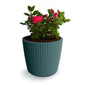 Prosperplast Plantenpot/bloempot Buckingham - kunststof - zeeblauw - D17 x H15 cm -
