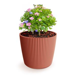 Prosperplast Plantenpot/bloempot Buckingham - kunststof - steenrood - 19 x 17 cm -
