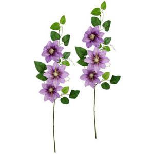 I.GE.A. Kunstbloem Clematisranke Waldrebe
