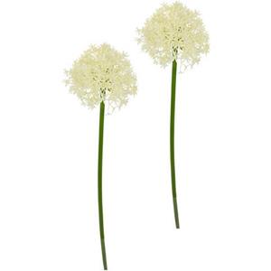 I.GE.A. Kunstbloem Allium Zierlauch