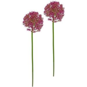 I.GE.A. Kunstbloem Allium Zierlauch