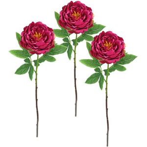 I.GE.A. Kunstbloem Päonie Bauernrose
