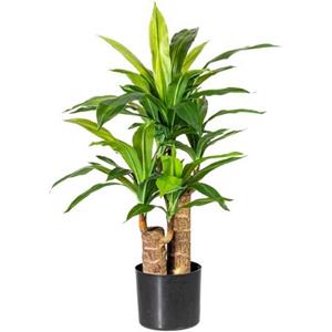Home affaire Kunst-potplanten Corentin (1 stuk)