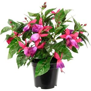 I.GE.A. Kunstbloem Fuchsien