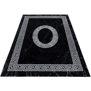 Ayyildiz Teppiche Vloerkleed PLUS 8009