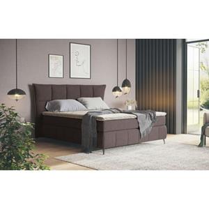 COTTA Boxspring Sarah
