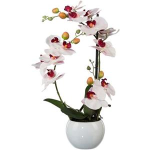 Creativ green Kunstplant Vlinderorchidee (1 stuk)