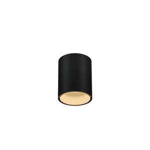 Wever & Ducre  Ray Mini 1.0 Spot