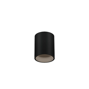 Wever & Ducre  Ray Mini 1.0 Spot