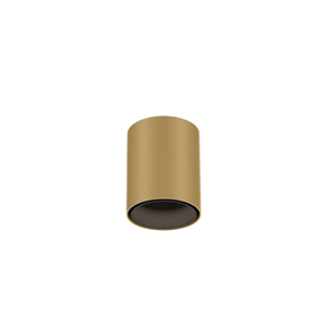 Wever & Ducre  Ray Mini 1.0 Spot