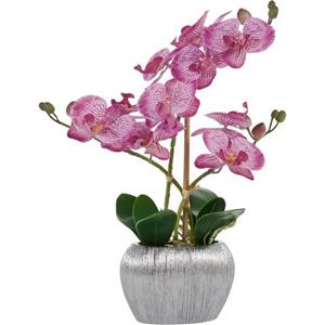 Home affaire Kunstplant Orchidee Kunstorchidee, in een pot (1 stuk)