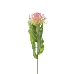 Xenos Kunstbloem leucospermum - fuchsia - 48 cm