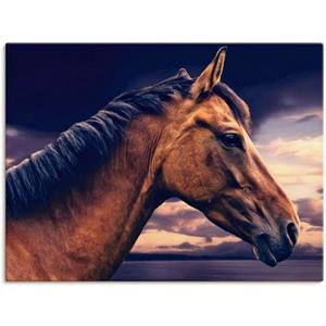 Artland Artprint Paard aan de zee als artprint op linnen, muursticker in verschillende maten