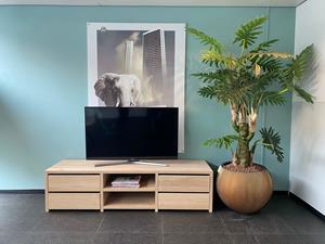 Loods XL Eikenhouten TV meubel Linde