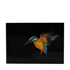 Dijk natural collections Muurkunst Vogel Canvas 58x2,5x78cm