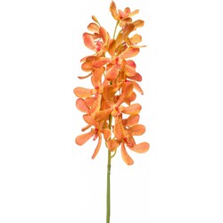 Woonexpress Vanda spray
