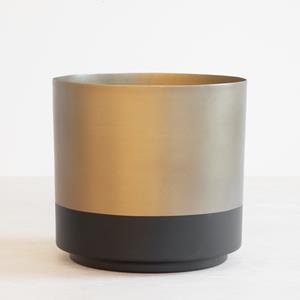 Plantje Parijs - Goud/Zwart - P21