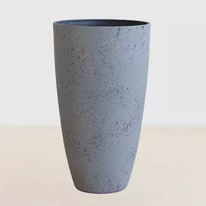 Plantje Murcia - P29