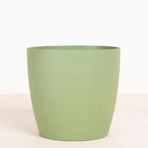 Plantje Oslo Groen - P21