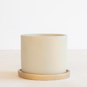Plantje Eindhoven Naturel/Goud - P14