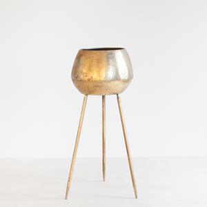 Plantje Venetië Goud - P17/P19