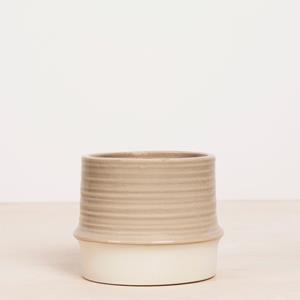 Plantje Milaan Naturel - P12