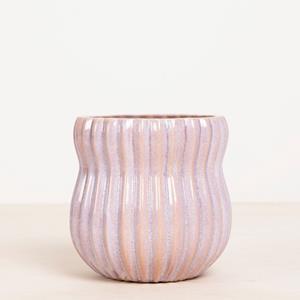 Plantje Verona Roze - P12