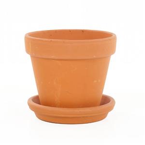 Plantje Terracotta pot met schotel (Oranje) - P 25 cm