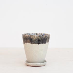 Plantje Moskou - naturel/bruin - p15